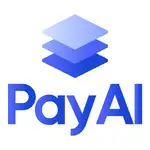 payai-mcp-server logo