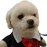 Mm MCP Server logo