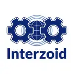 Interzoid MCP Server logo
