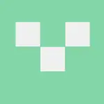 Terraform Partner MCP Server logo