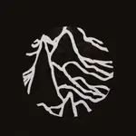 AI Medical Triage System logo