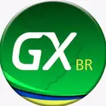Genexus MCP Server Guide logo