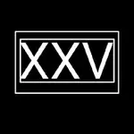Shopify Insights MCP logo