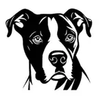 Task Pilot logo