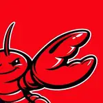 Peekaboo (Steipete) logo