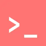 MCP Server Code Review logo