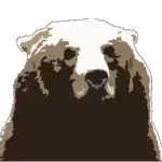 MCP Server Pihole logo