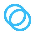Chrome Inspector MCP logo