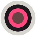 Picotool MCP Server logo
