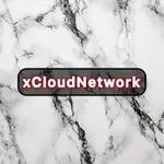 Xvinexus MCP Server logo