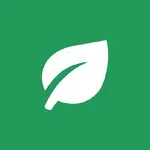 Sheets Search MCP logo