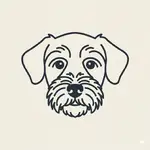 MCP Conversational Data Agent logo