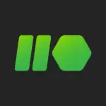 snowfall (Matvasenin) logo