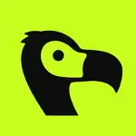 Dodopayments MCP logo