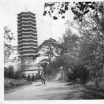 Oopsyz MCP logo