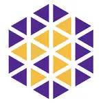 Apus Medical MCP Server logo