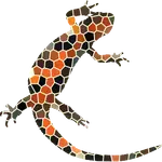 digitai (Newtfire) logo