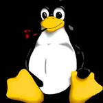 Wordpress MCP Server B399ba72 logo