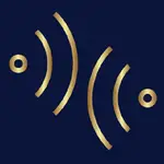 anysitemcp (Myagentworks AI) logo