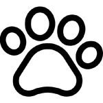 MCP Server Template E765b870 logo