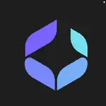 Power Bi MCP logo